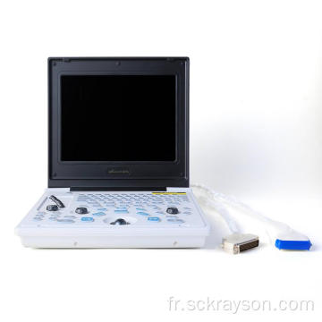 Échographie d&#39;ordinateur portable pour chat enceinte enceinte de ragdoll